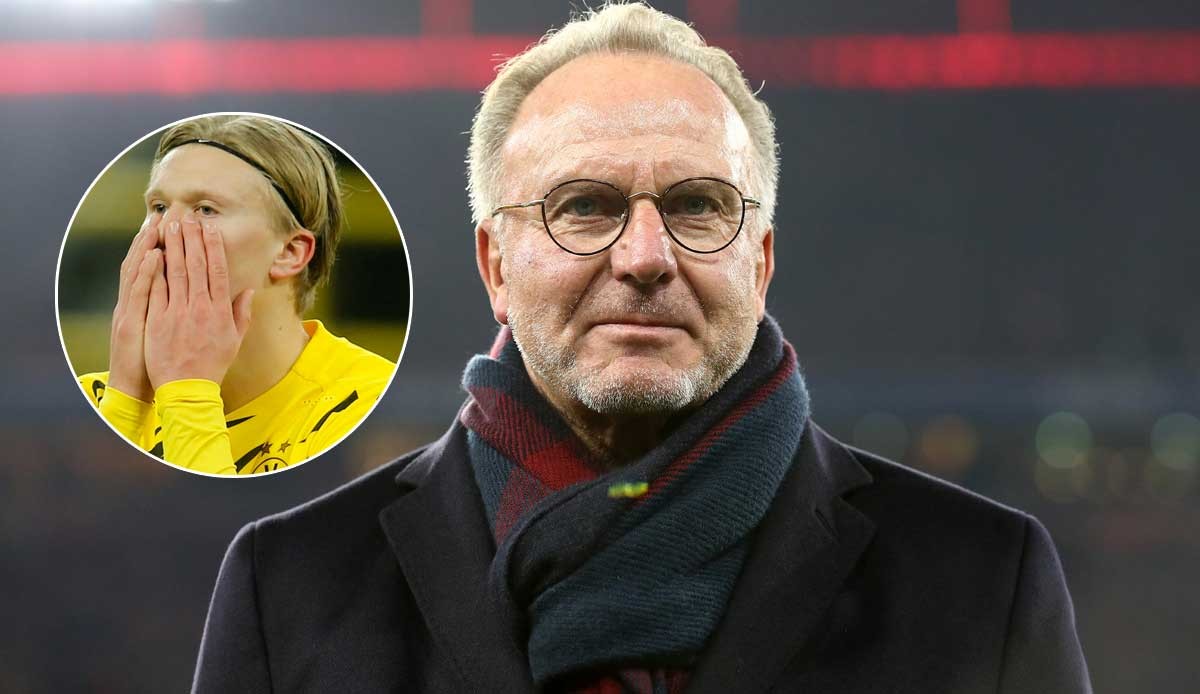 无论去向如 无论去向如